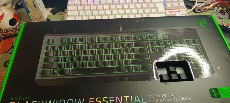Teclado gamer Razer BlackWidow Essential