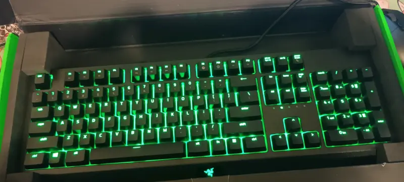 Teclado gamer Razer BlackWidow Essential - 2