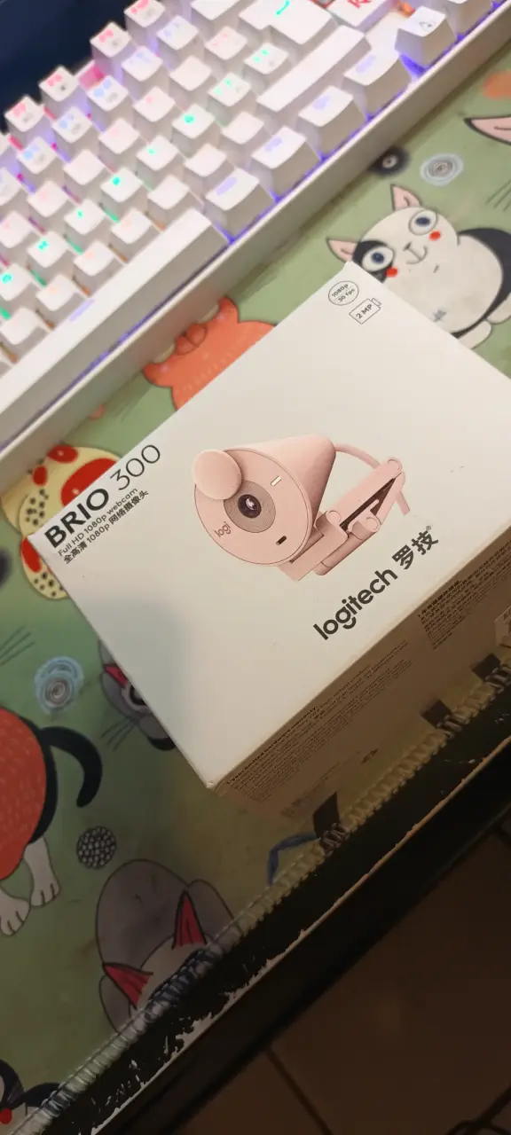 Webcam Logitech Brio 300 Full HD 1080p
