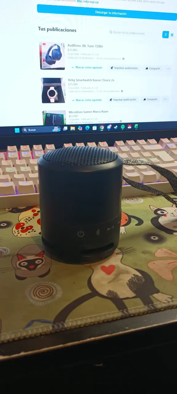 Parlante Sony SRS-XB13