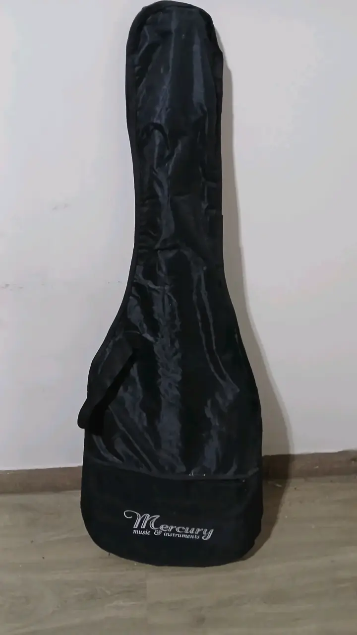 Guitarra eléctrica con funda + amplificador - 2
