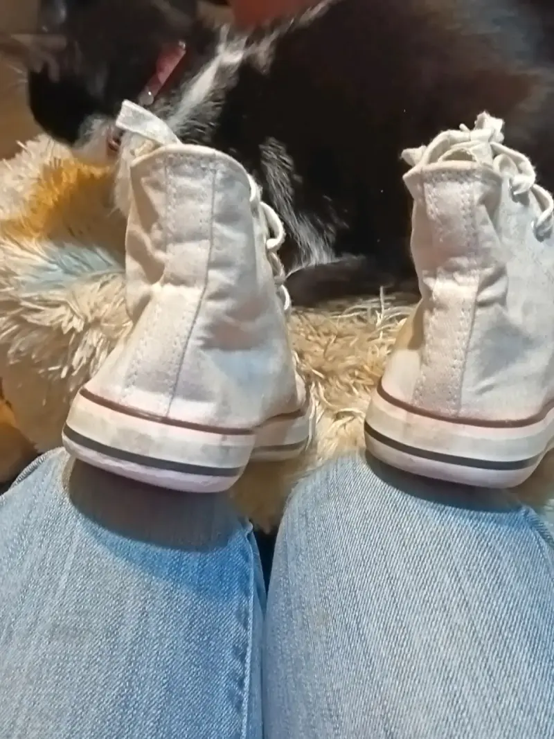 Zapatillas blancas de lona estilo urbano - 4
