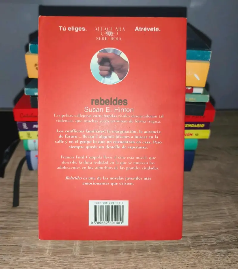 Libro Rebeldes de Susan E. Hinton - 2