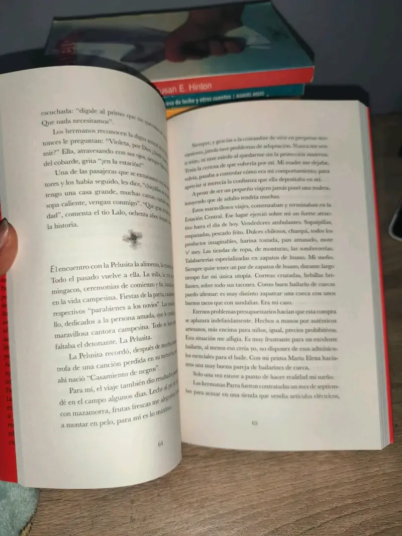 Libro 'Violeta se fue a los cielos' de Ángel Parra - 3