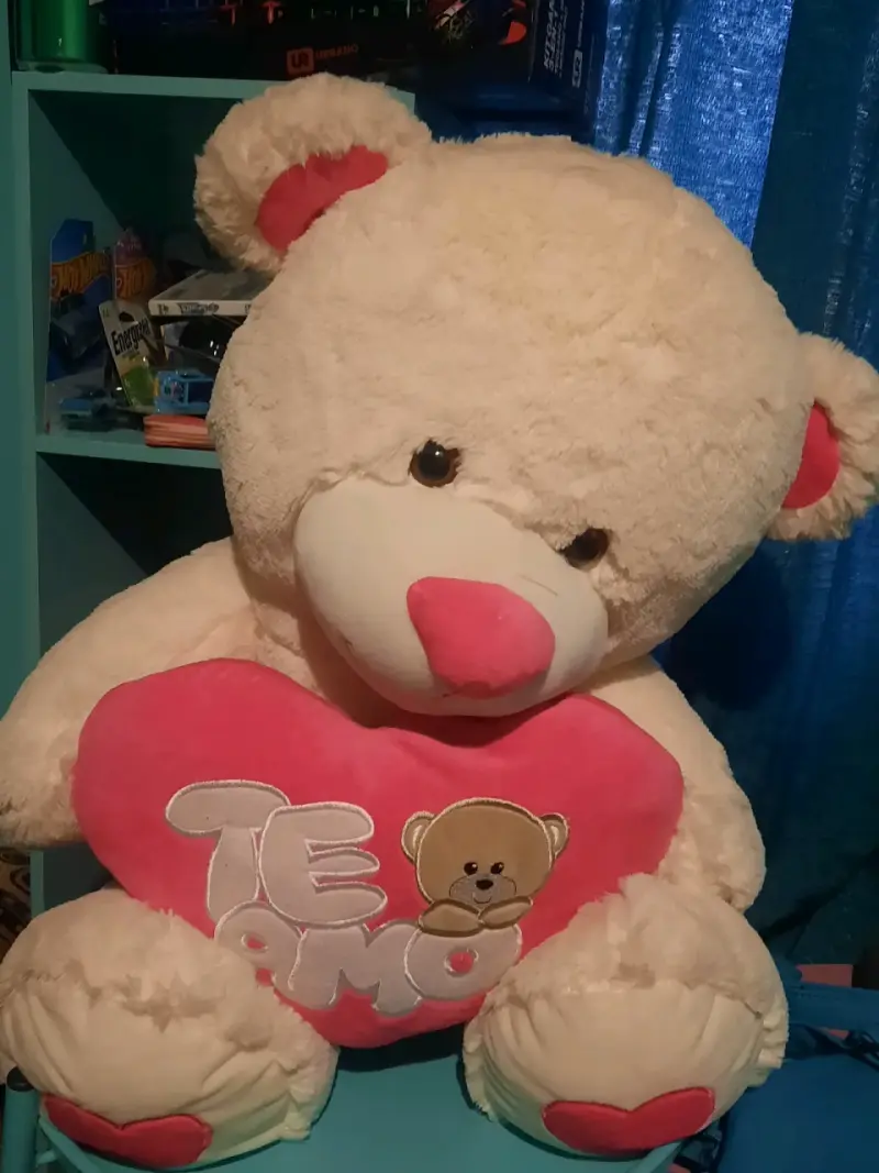 Osito de Peluche Gigante con Corazón 'Te Amo'