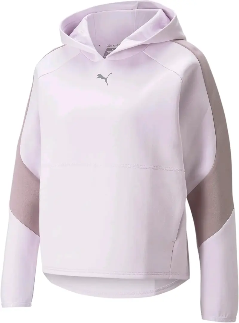 Polerón con capucha Puma color lila