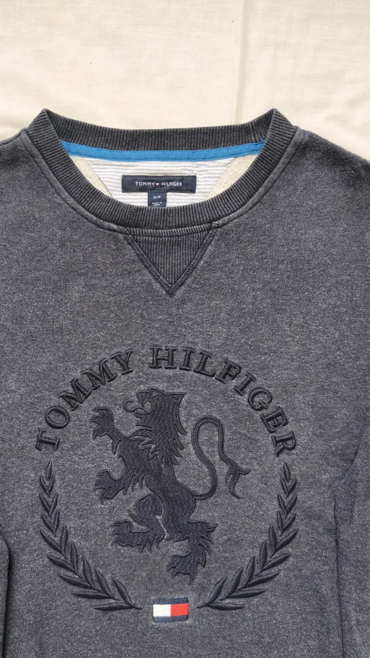Polerón Tommy Hilfiger gris - 2