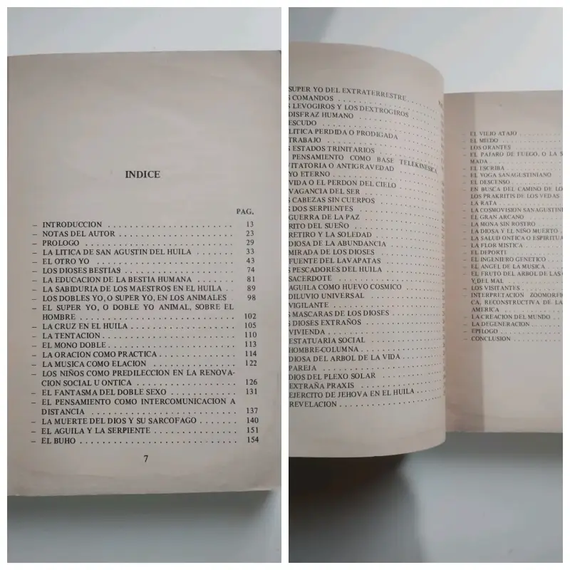 Libro 'La Iniciática en San Agustín del Huila' de Osman González Espoz - 3
