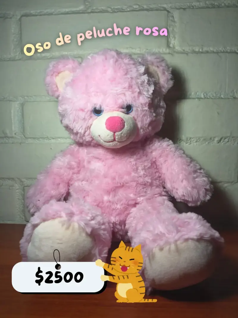 Oso de peluche rosa - 1