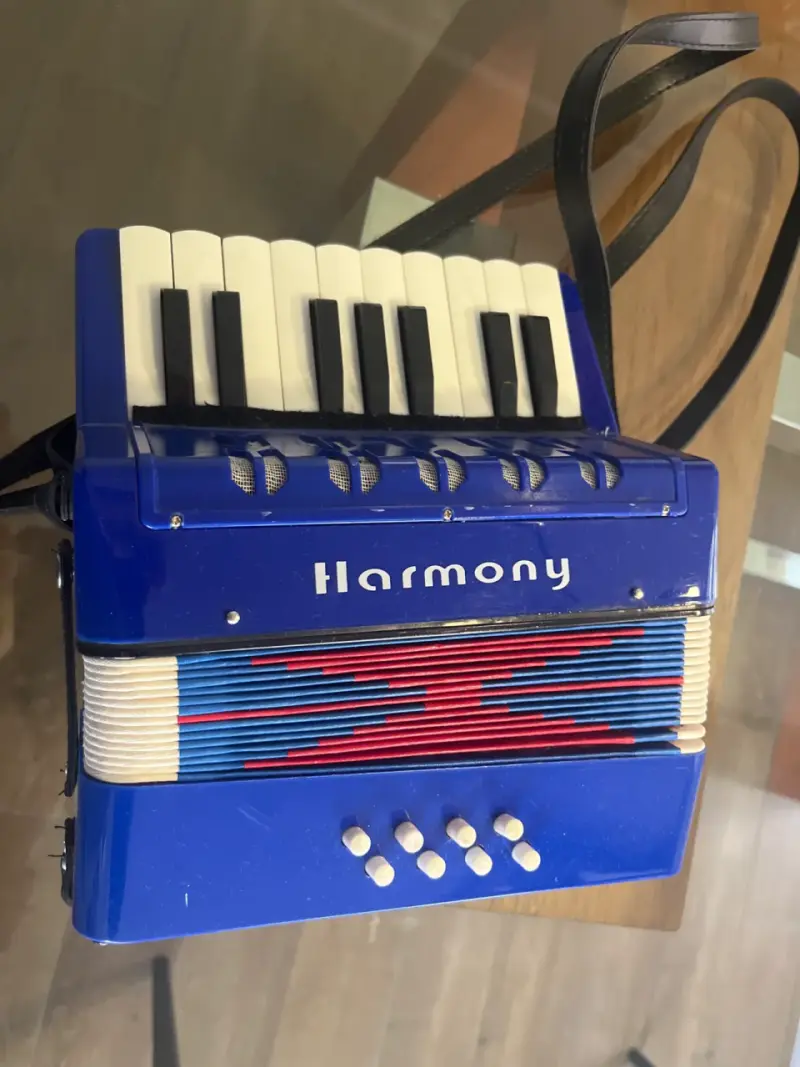 Acordeón infantil Harmony azul - 1