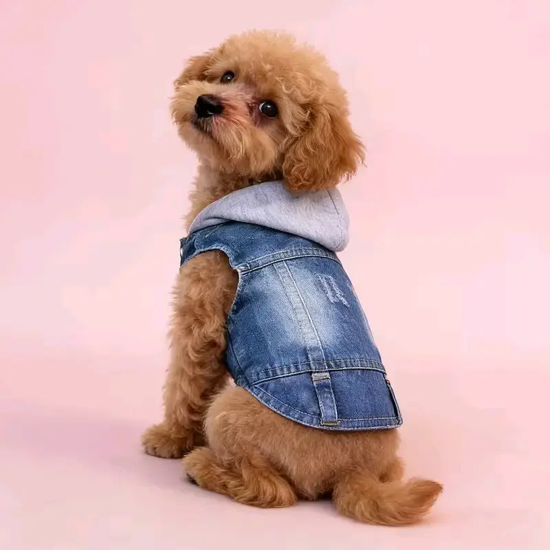Chaleco de mezclilla para perro con capucha - 2
