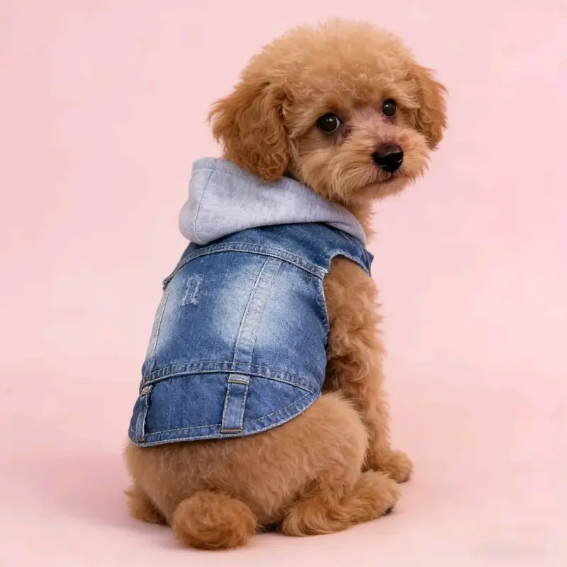 Chaleco de mezclilla para perro con capucha - 4