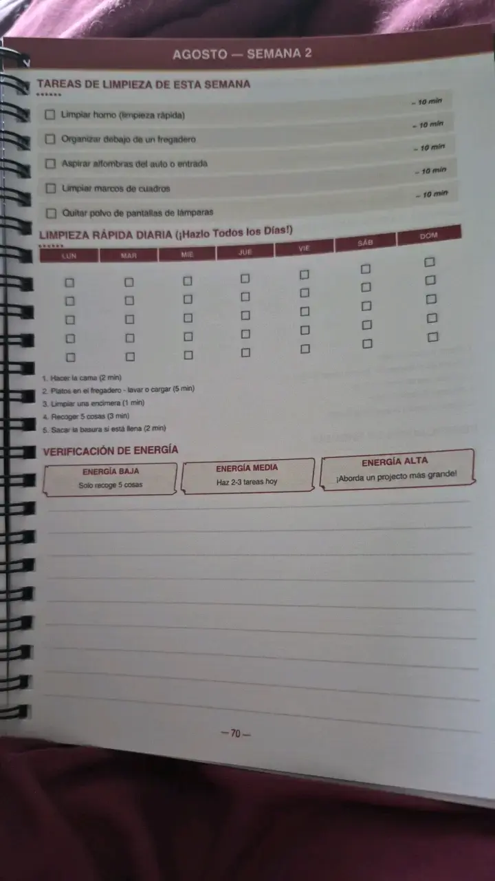 Planificador de Limpieza para TDAH con Consejos - 2