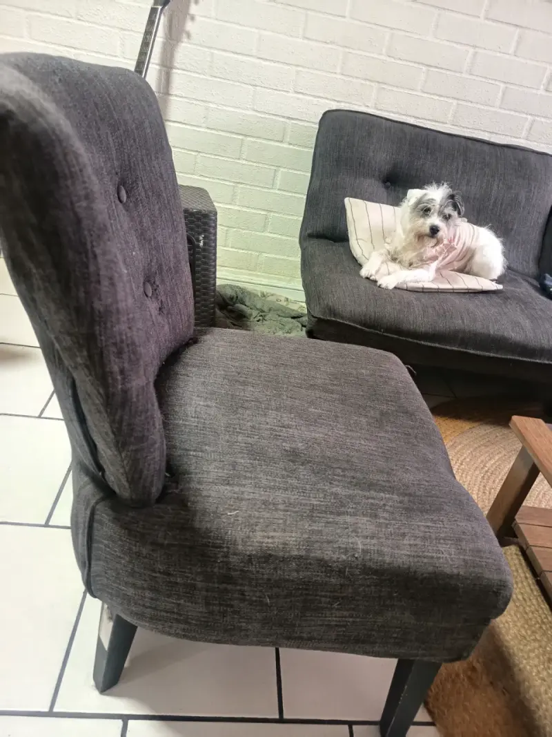 Silla tapizada gris oscuro con botones - 2
