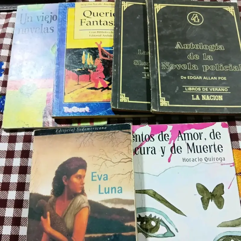 Lote de libros variados de literatura clásica y contemporánea - 2