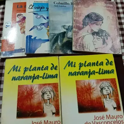 Lote de libros variados de literatura clásica y contemporánea - miniatura 3
