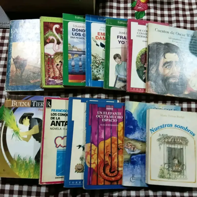 Lote de libros variados de literatura clásica y contemporánea - 5