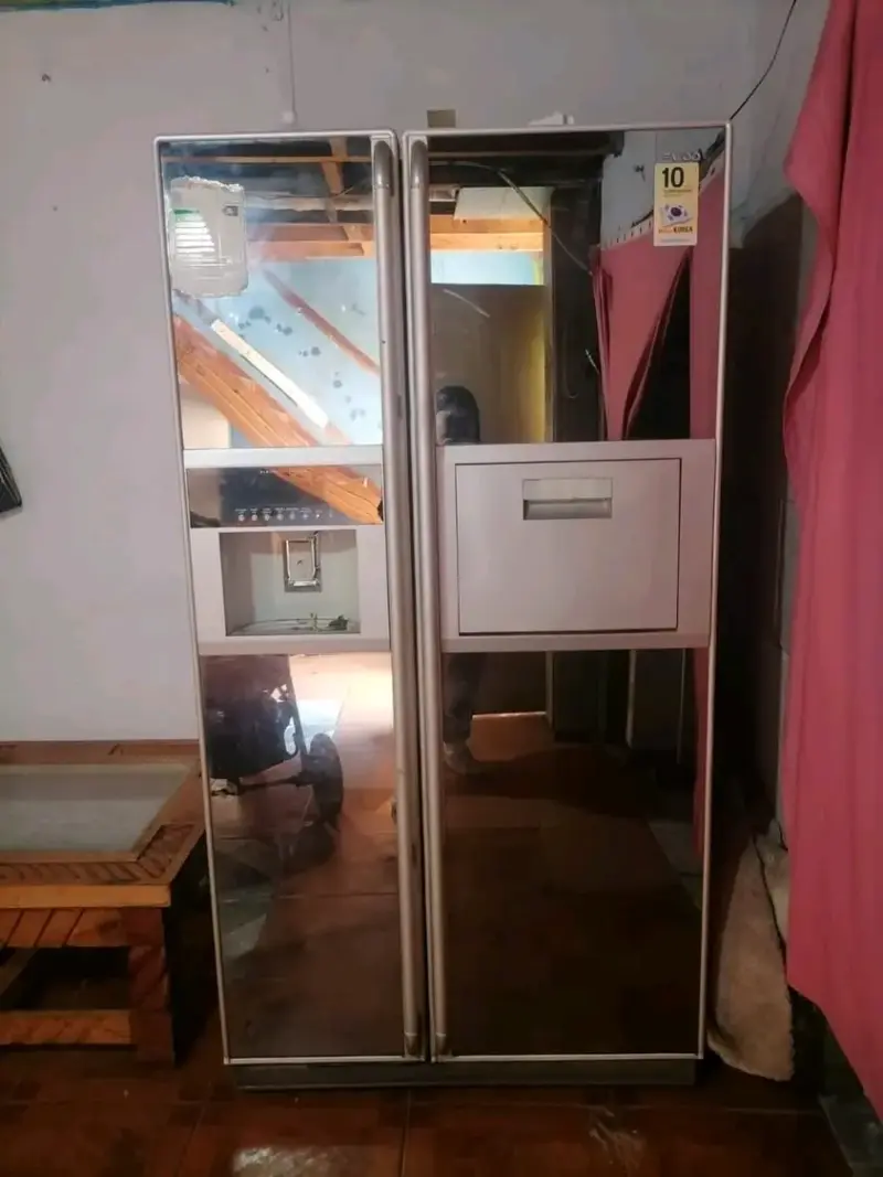 Refrigerador de dos puertas con espejo