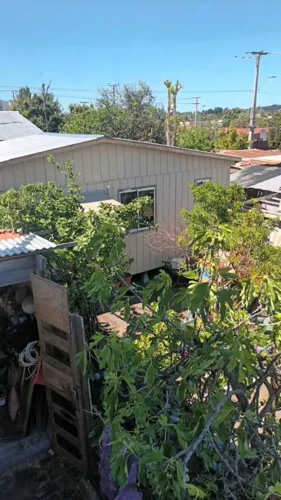 Casa prefabricada - miniatura 5