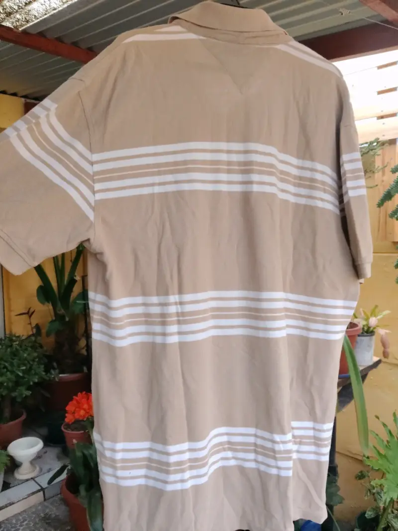 Polera Polo Tommy Hilfiger Beige a Rayas - 4