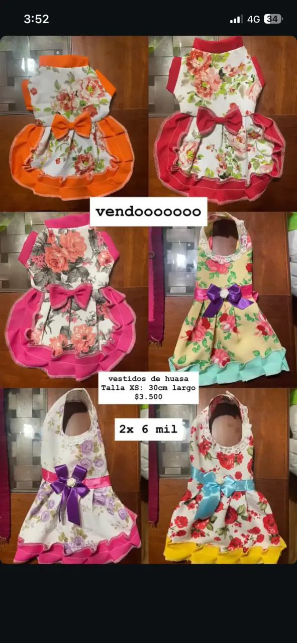 Vestidos de huasa para mascotas con diseño floral