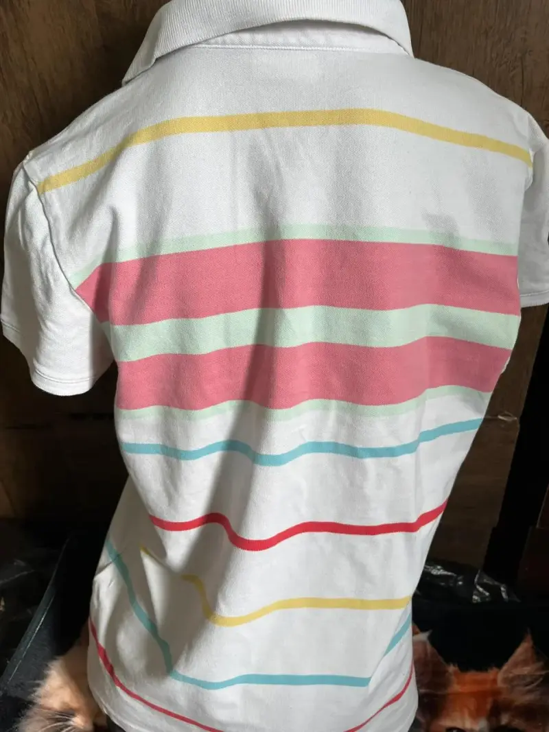 Polera Polo Rayada Mujer USPA - 2