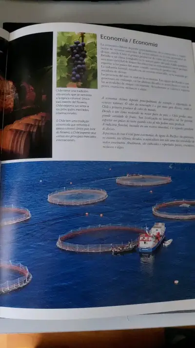 Libro de fotografía de Chile Editorial Kactus - miniatura 3