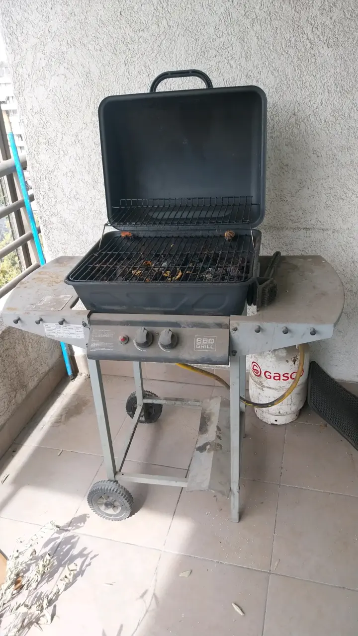 Parrilla a gas BBQ Grill con ruedas - 2