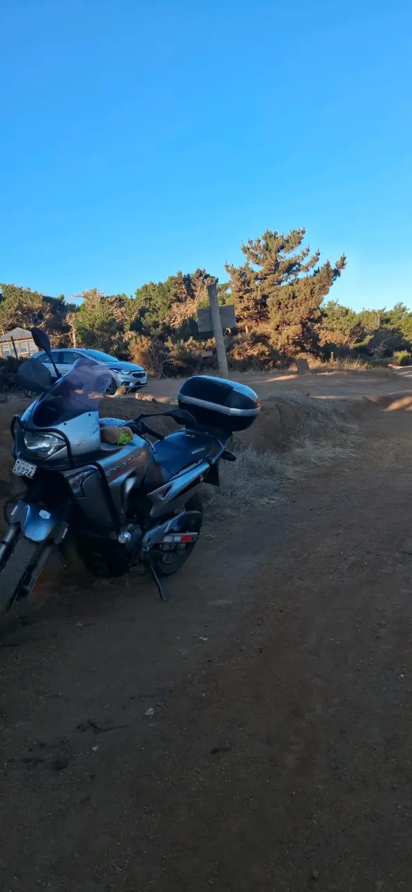 Honda transalp xl650 - 3