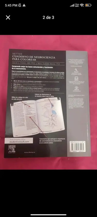 Cuaderno de Neurociencia para Colorear Netter - miniatura 2