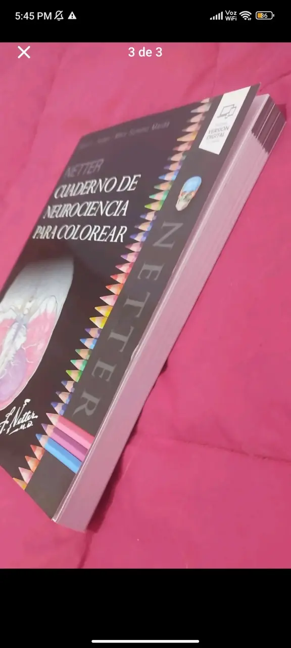 Cuaderno de Neurociencia para Colorear Netter - 3