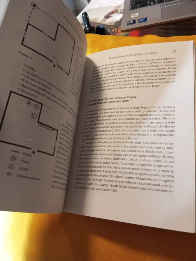 Libro: Feng Shui para occidente – Terah Kathryn Co - 4