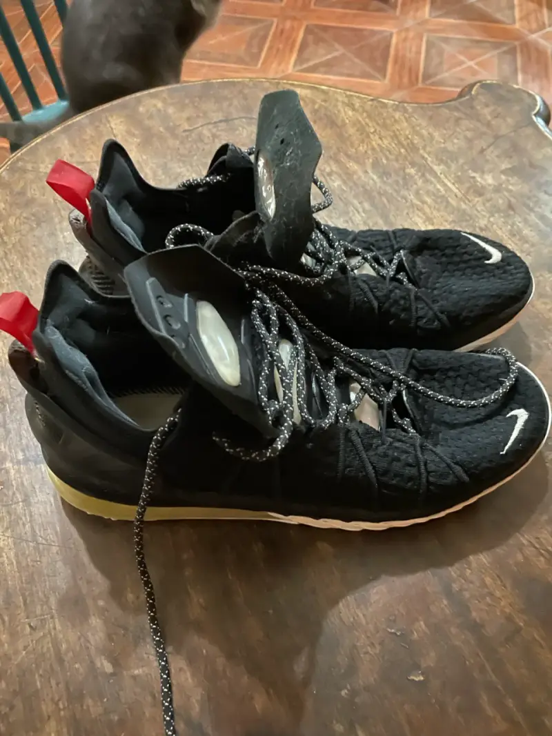 Zapatillas LeBron XVIII talla 11 us - 2