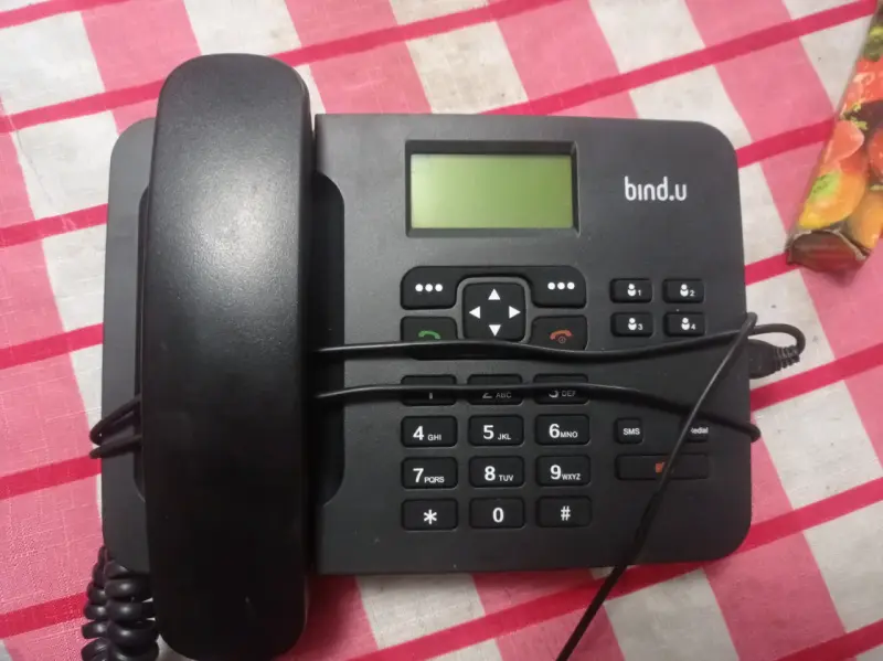 Teléfono Fijo Inalámbrico Bindu con Chip Entel - 3
