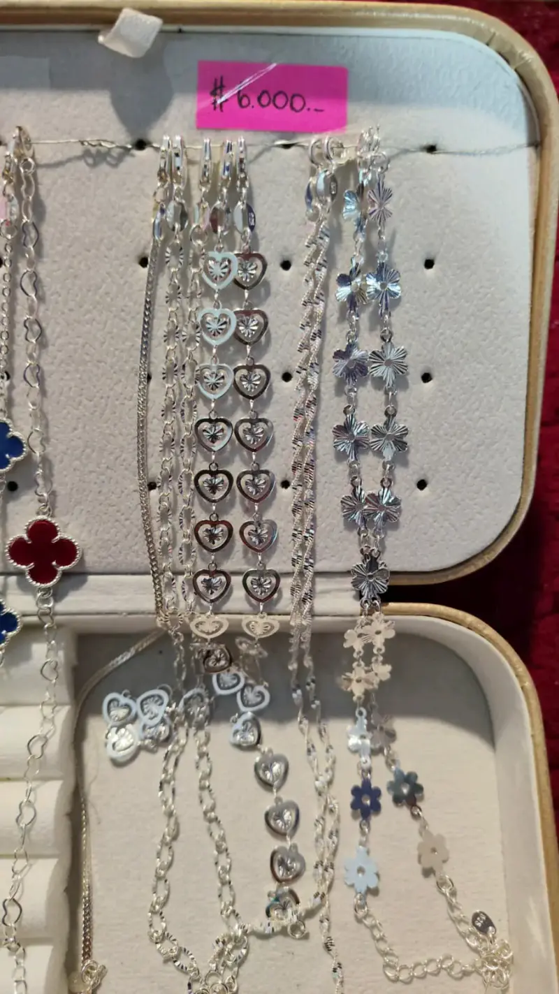 Collares y Pulseras de Plata con Dijes Variados - 2