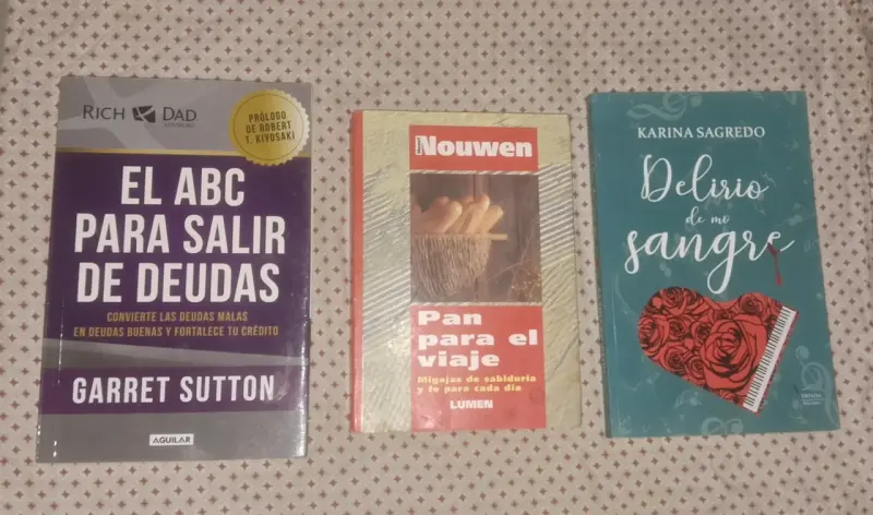 Lote de 19 libros variados - 2