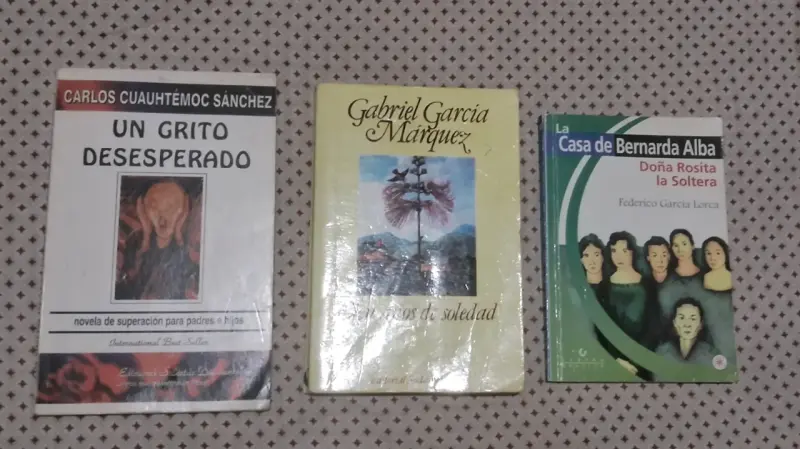 Lote de 19 libros variados - 3
