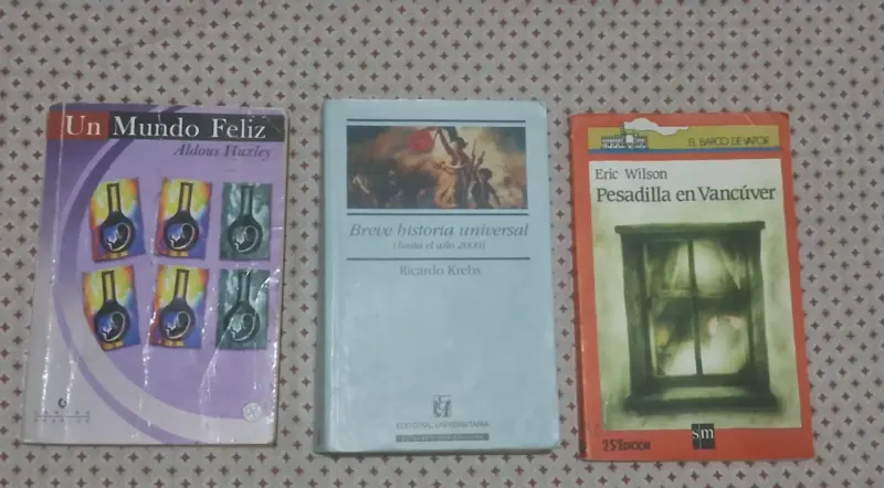 Lote de 19 libros variados - 4