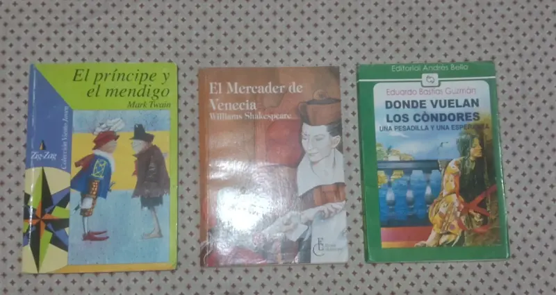 Lote de 19 libros variados - 5
