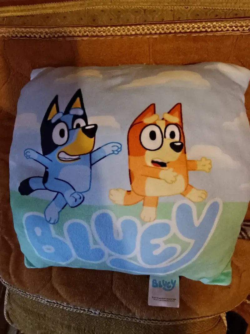 Cojín infantil Bluey y Frozen - 1
