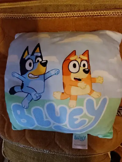 Cojín infantil Bluey y Frozen - miniatura 1