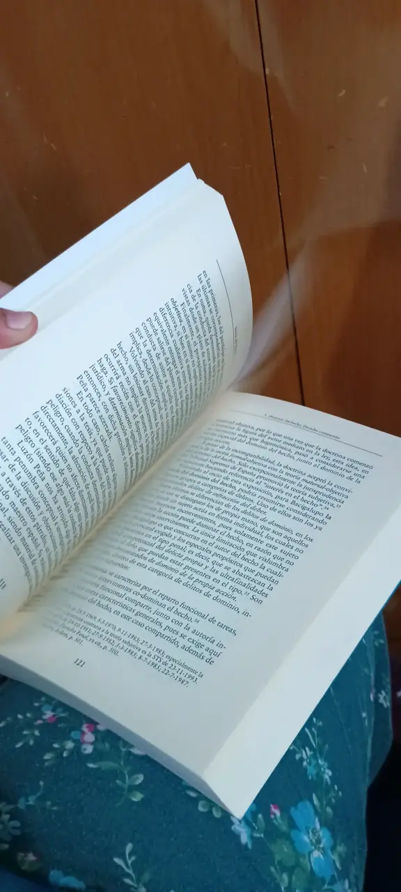 Libro Teoría del Delito de Carlos Parma - 4