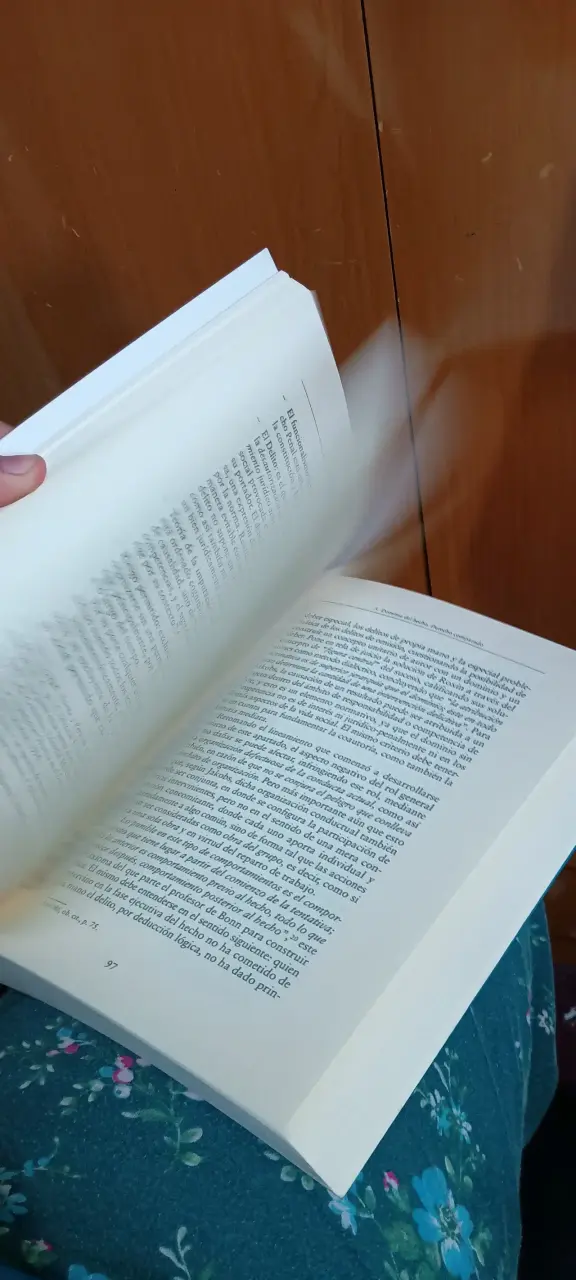 Libro Teoría del Delito de Carlos Parma - 5