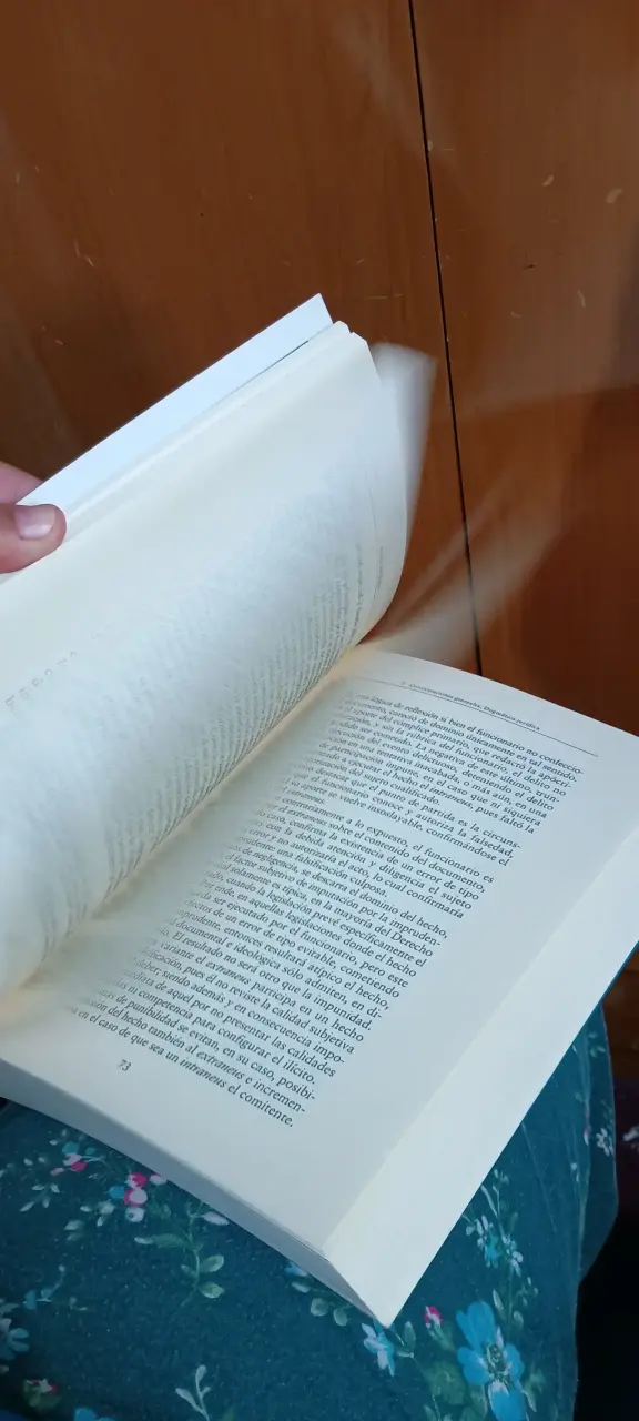 Libro Teoría del Delito de Carlos Parma - 6