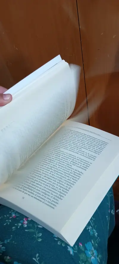 Libro Teoría del Delito de Carlos Parma - miniatura 6