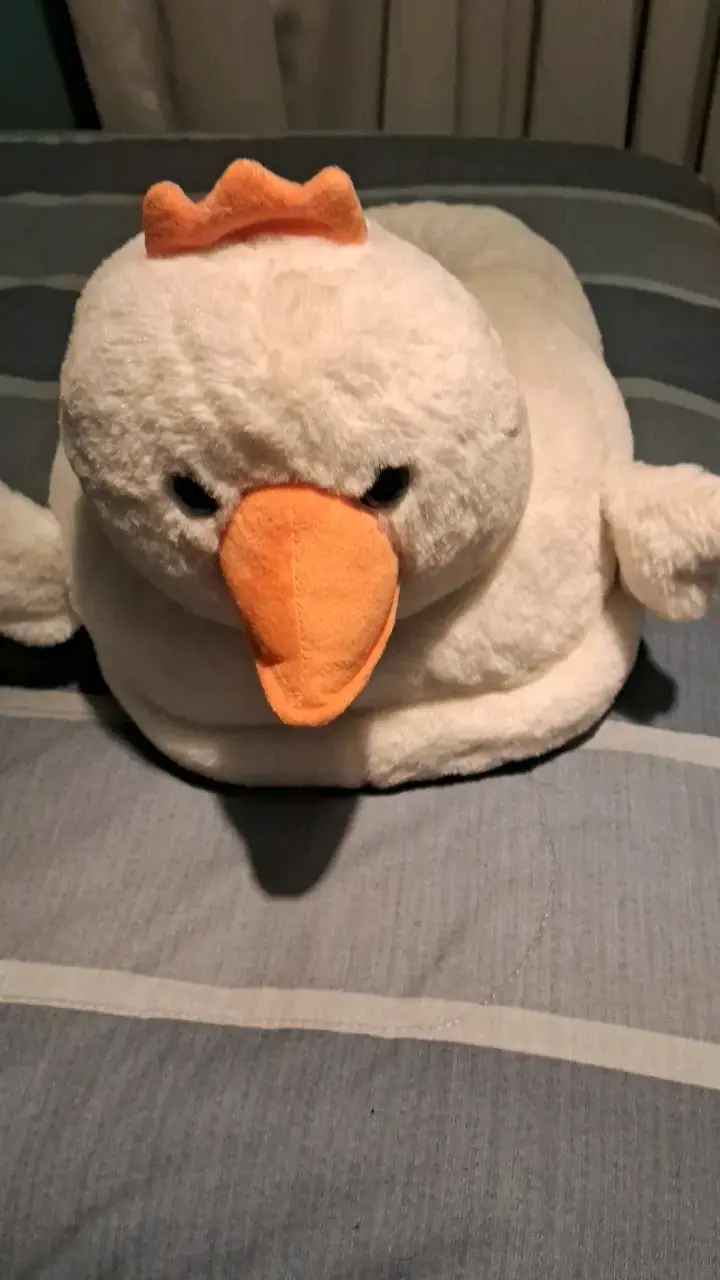Calienta pies  de peluche en forma de pato - 4