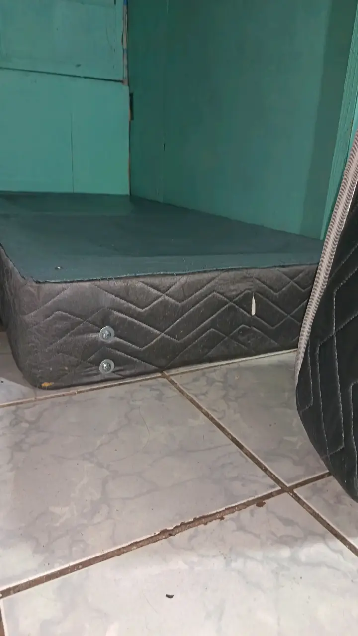 Vendo cama europea de 1 plaza marca Celta - 3