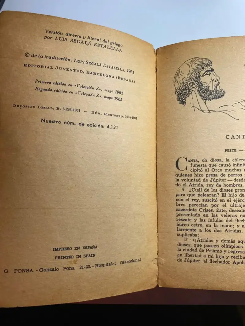 Libro La Ilíada de Homero, Editorial Juventud - 2