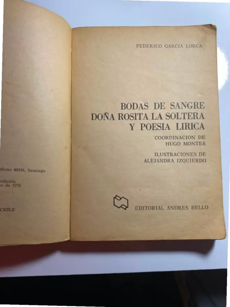 Libro Bodas de Sangre de Federico García Lorca - 2