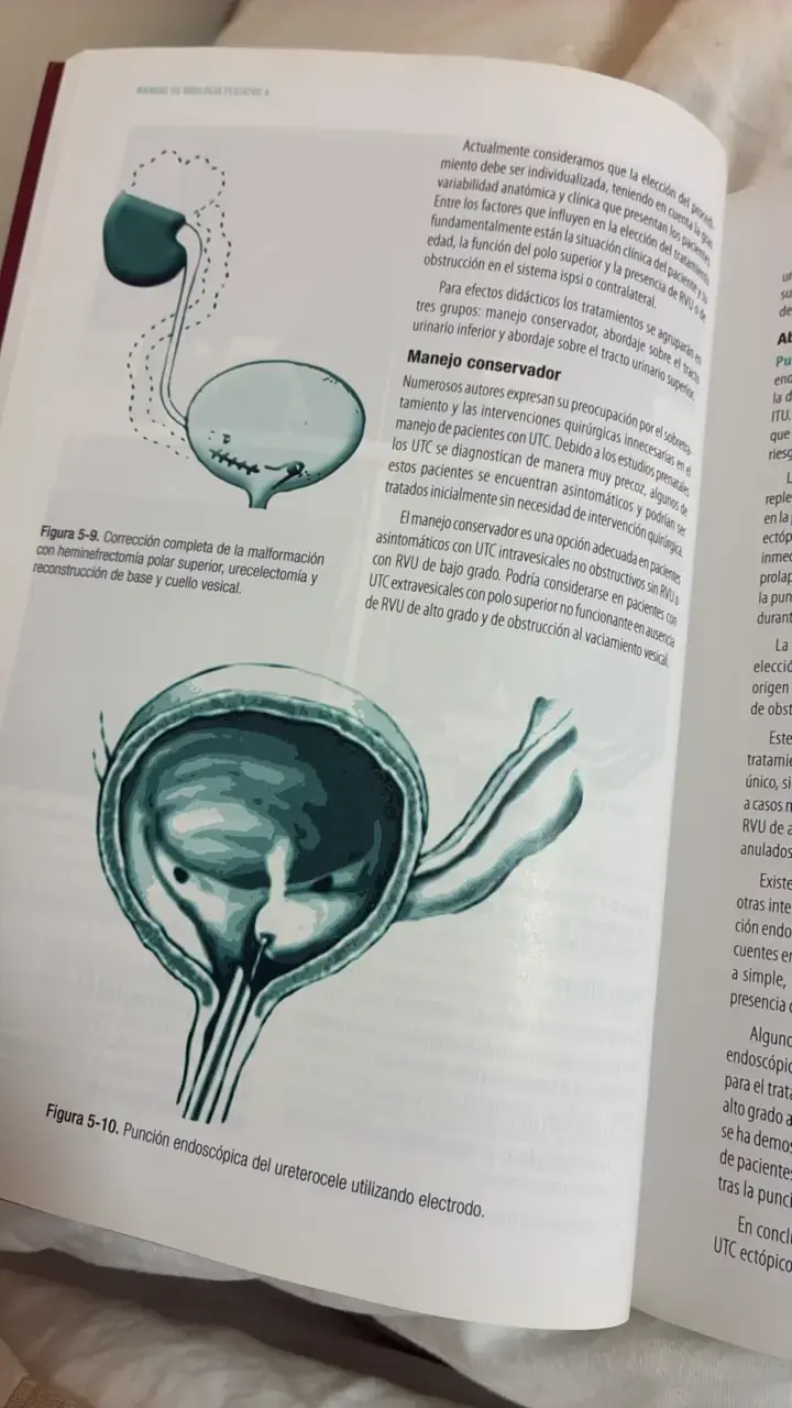Manual de Urología Pediátrica Quinta Edición - 2
